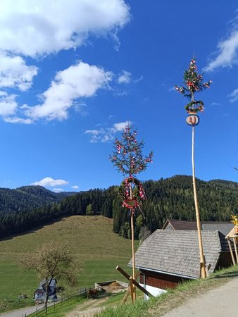 2026 04 30 Maibaum